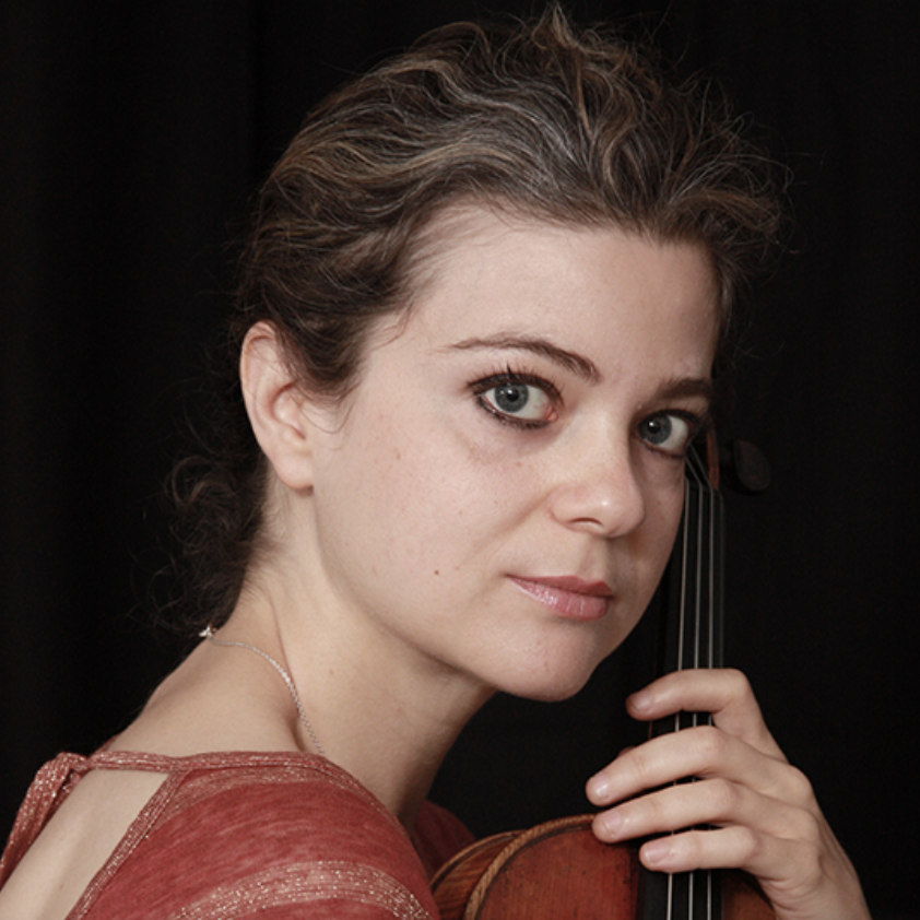 Un violon dans l'Histoire